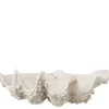 Deco Bowl Seashell Wh 52x28x18cm 60008