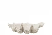 Deco Bowl Seashell Wh 52x28x18cm 60008