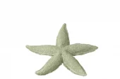 Starfish Green 20x3cm 60023