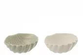 Shell Stoneware Wh Ass. 2 15,x13x5,5cm 60081