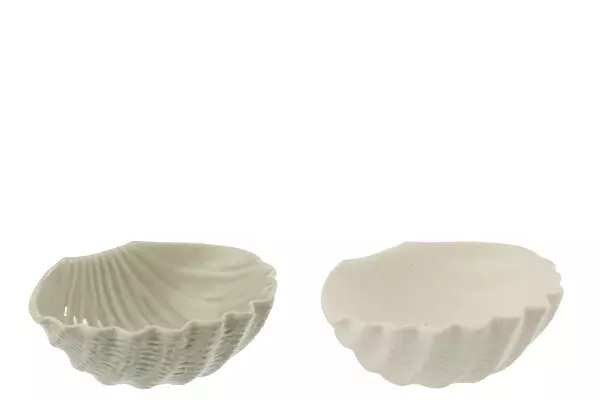 Shell Stoneware Wh Ass. 2 15,x13x5,5cm 60081