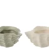 Shell Shell Wh Ass.2 25x14x10cm 60084