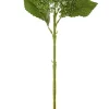 Hortensia Green 42x12cm 63828