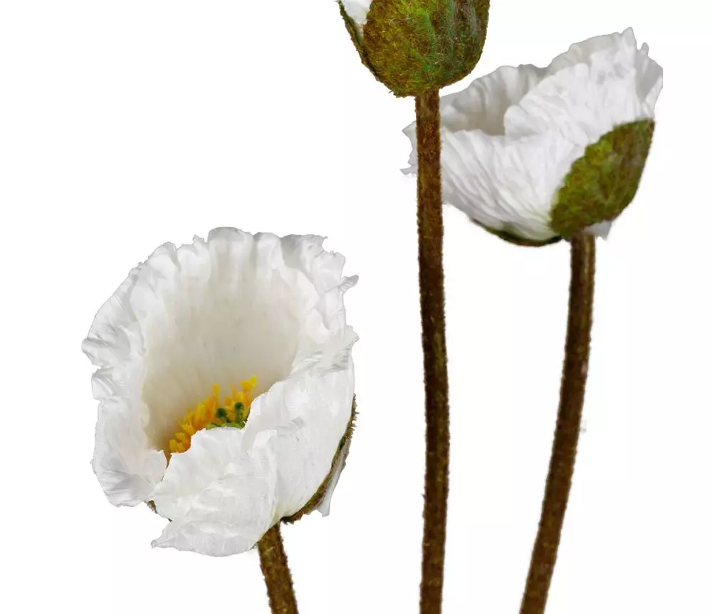 gallery-9248-for-919935