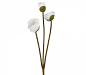 gallery-9247-for-919935