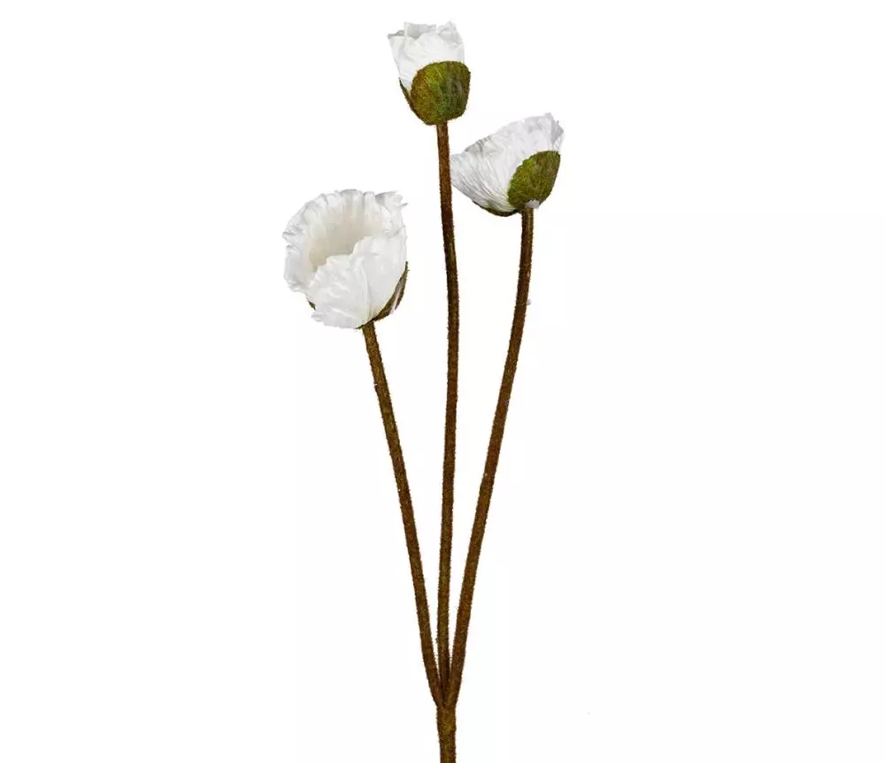 gallery-9247-for-919935