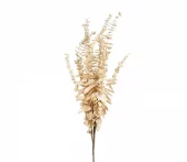 gallery-9249-for-919936