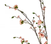 gallery-9307-for-919939