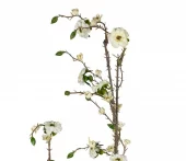 gallery-9309-for-919940