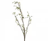 gallery-9308-for-919940