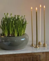 gallery-9335-for-919908