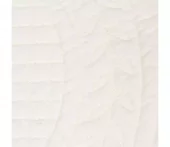 gallery-9341-for-919962