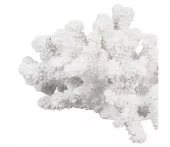 gallery-9354-for-919971