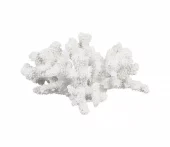 Deco Coral Bordermer White 20,5x19,5xh11,5cm 38732