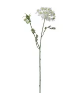 Blomsterkørvel 4647-10
