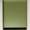 Giobagnara Deco Tray Meadow Green Brass Handles 57x44 cm
