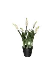 Perleblomst 4583-10-1