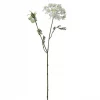 Blomsterkørvel 4647-10