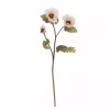 Krysantemum Hvit 29xh96cm 82072847