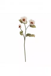 Krysantemum Hvit 29xh96cm 82072847