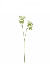 Fennikel stilk Hvit 14h66cm 820615087