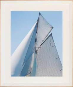 Voyage X 608