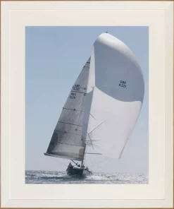Regatta Full Steam X 610