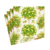 Napkin Citrus 16380c