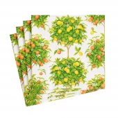 Napkin Citrus 16380c