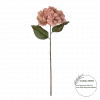 Hortensia Dusty Pink 18160