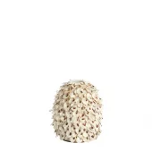 Vase Bamboo Shell 20xh21cm 5738943
