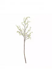 Epleblomst 152,5cm 82072831