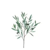 Olive Leaves Spray 734077