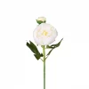 Peoner 4939-10