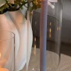 Glass Lysestake
