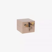 Lacquer Box Skin Lass2602
