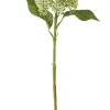 Hortensia Green 42x12cm 63827