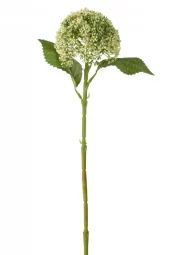 Hortensia Green 42x12cm 63827