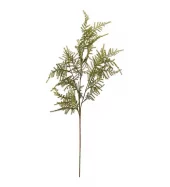 Asparges Blomst 4958-01