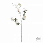 Grenrose L 85cm 18073