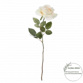 RosGrenrose Krem 12xh60cm 18067
