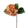 Hortensia 2408-23