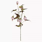 Blomstrelønn 4842-41