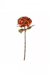 Hydrangea Orange h46cm 82073225