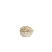 Deco Box Walnut Ceramic Sand 13,5x10,5cm 5742982