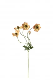 Anemone 5209-36
