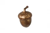 Nut Ida Fl0016326