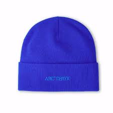 ArcTeryx  Word Toque