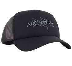 ArcTeryx  Bird Word Trucker Hat