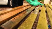 gallery-10040-for-46449525